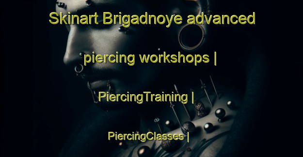 Skinart Brigadnoye advanced piercing workshops | PiercingTraining | PiercingClasses | SkinartTraining-Russian Federation